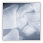Bayfront Medical Center: Website Design and Development